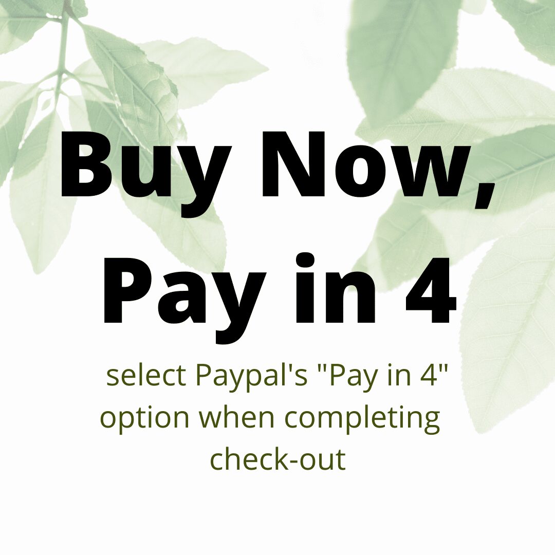 Reiki Healing Physical Body Systems Specialist Certification Course - Image 2