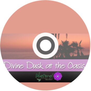 Divine Dusk Wind & Bird Relaxation Calming Meditation Sounds (MP3)
