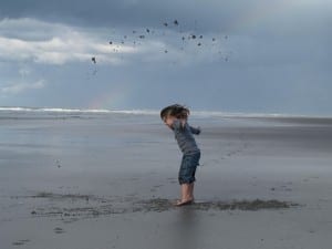 exert-your-free-will