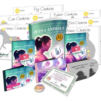 Online Pets & Animals Reiki Energy Healing Certification Course