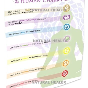 7 Main Chakras Poster (physical product)